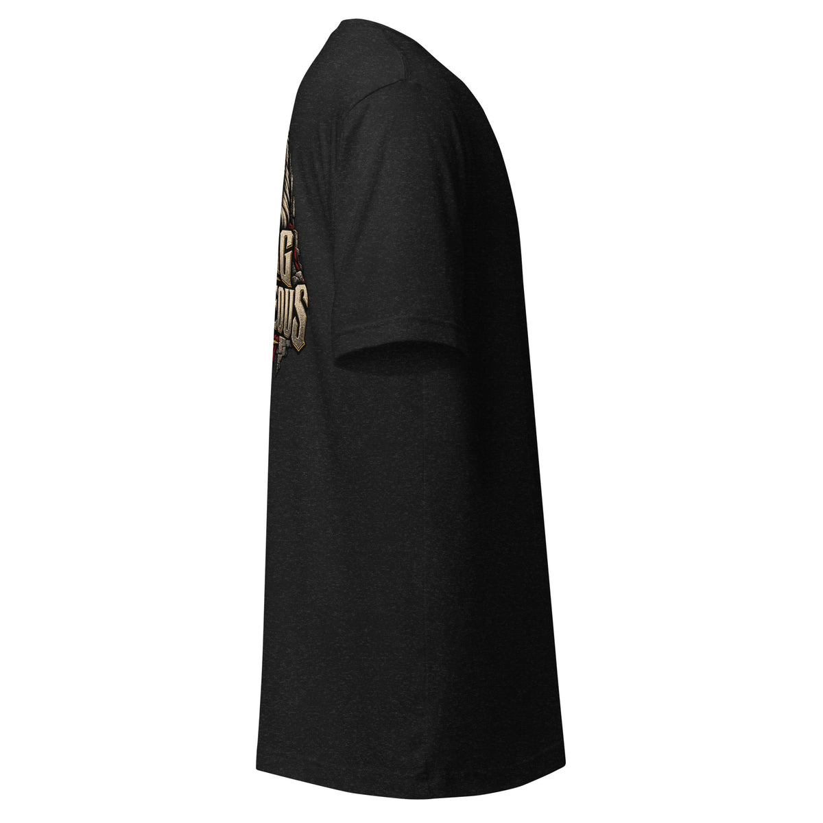 Built Daily Joshua 1:9: The Crowned Lion tee, right side view